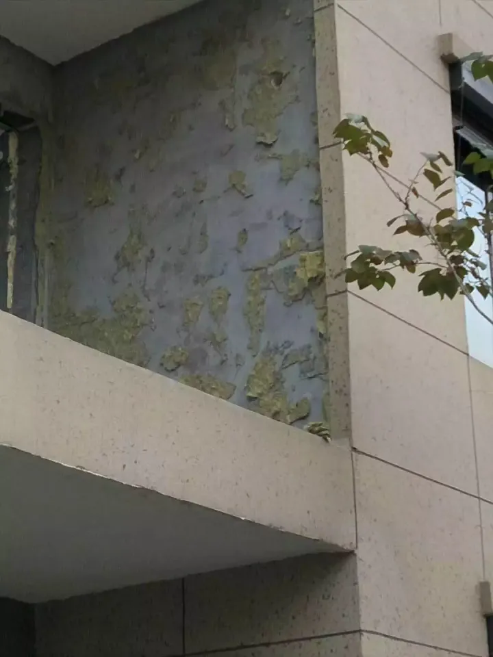 1669105523010.jpg 1669105523010.jpg